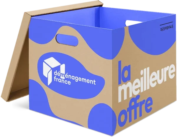 Logo de la Société de Déménagement par défaut